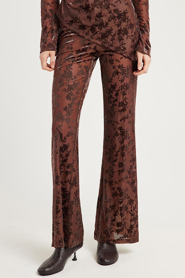 Ode Devon Bootcut Pants Chocolate