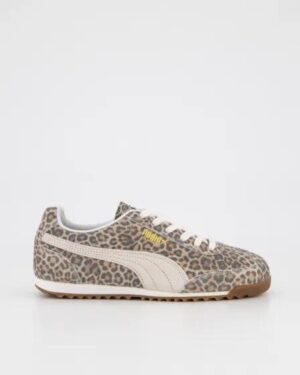 Puma Puma Arizona Leopard Leopard